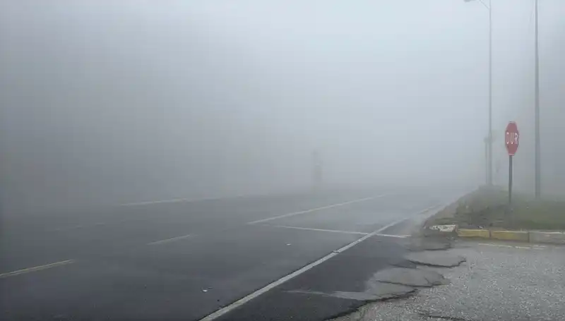 Bolu Dağı'nda Yoğun Sis, Trafiği Felç Etti