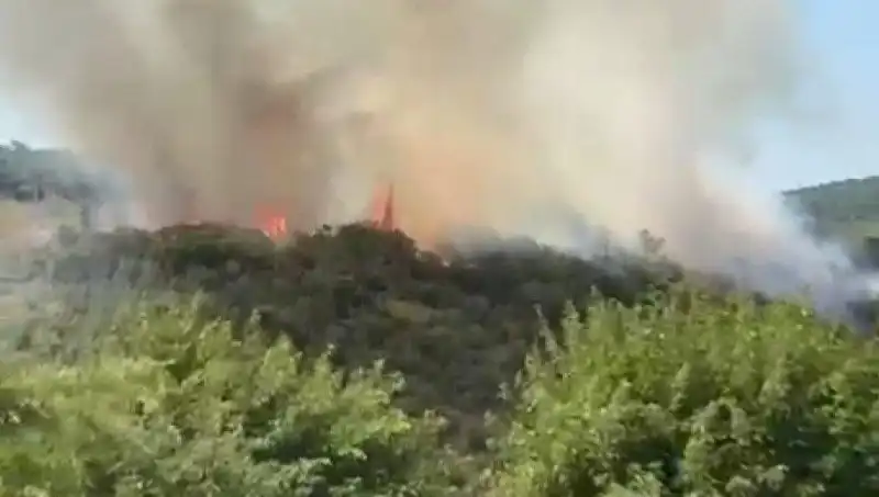 İstanbul’da Orman Yangını: Vatandaşlar Tahliye Edildi, Gözyaşlarıyla Ayrıldılar