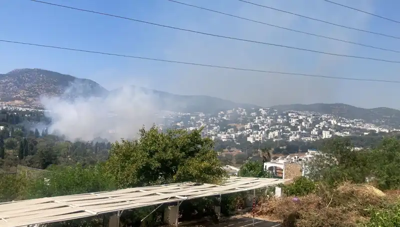 Muğla'daki Orman Yangınları Kontrol Altında: Son Durum Nedir?