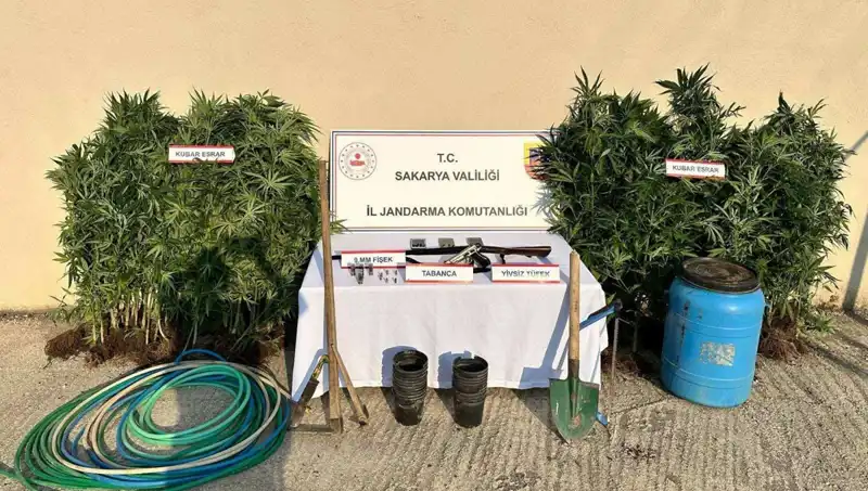 Sakarya'da Uyuşturucu Çetesi Çökertildi: 1 Kişi Tutuklandı