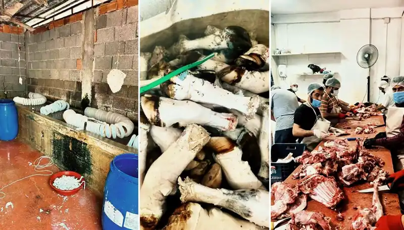 Adana’da Kan Donduran Operasyon: Yüzlerce Kilo Paça Ele Geçirildi