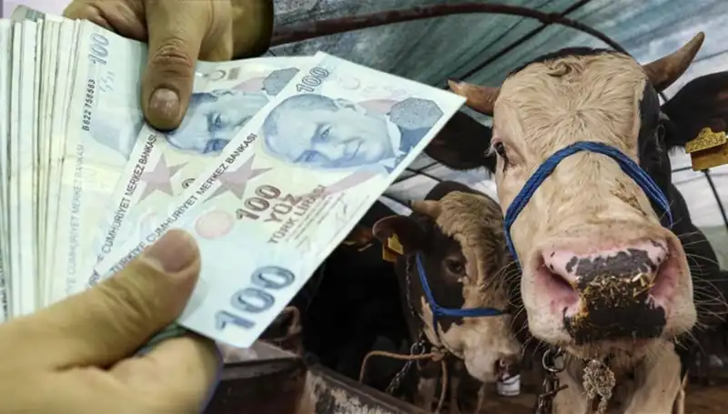 Memur ve Emekli Maaşları Bayram Öncesi Yatacak mı? Erken Ödeme Açıklaması!